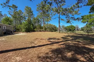 4497 NE 142 Ave, Williston, FL 32696 - Photo 8
