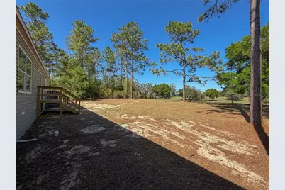4497 NE 142nd Avenue, Williston, FL 32696 - Photo 10
