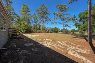 4497 NE 142 Ave, Williston, FL 32696 - Photo 10