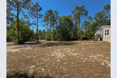 4497 NE 142nd Avenue, Williston, FL 32696 - Photo 12