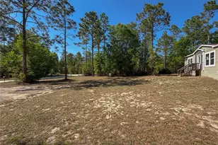 4497 NE 142 Ave, Williston, FL 32696 - Photo 12