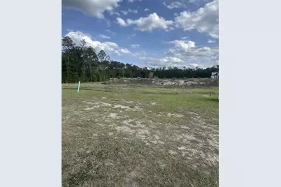14759 SW 9th Lane, Newberry, FL 32669 - Photo 4