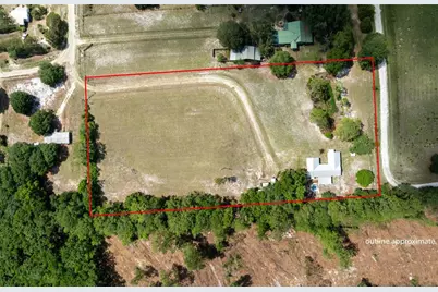 11115 SW 105th Street, Brooker, FL 32622 - Photo 48