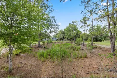 11115 SW 105th Street, Brooker, FL 32622 - Photo 2