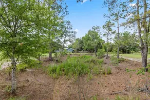 11115 SW 105th St, Brooker, FL 32622 - Photo 2