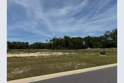 14772 SW 11th Place, Newberry, FL 32669 - Photo 6