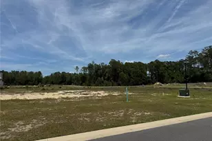 14772 SW 11th Pl, Newberry, FL 32669 - Photo 6