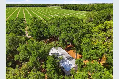 7651 NW 153rd Lane, Chiefland, FL 32626 - Photo 44
