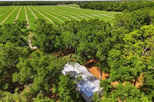 7651 NW 153rd Ln, Chiefland, FL 32626 - Photo 44