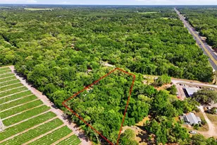7651 NW 153rd Ln, Chiefland, FL 32626 - Photo 42