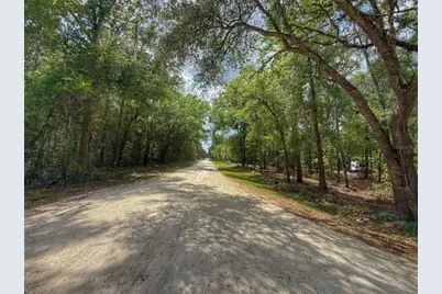 Tbd 282nd Terrace, Branford, FL 32008 - Photo 2