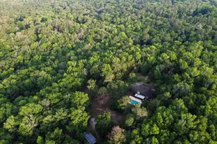 22731 NW 91st Court Rd, Micanopy, FL 32667 - Photo 52