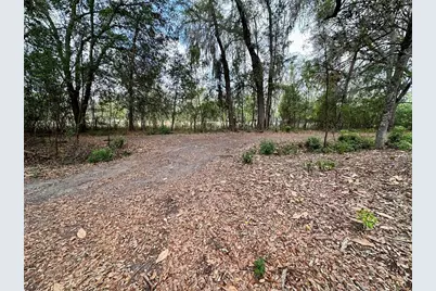 13647 NE 141st Drive, Waldo, FL 32694 - Photo 6