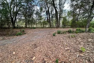 13647 NE 141st Dr, Waldo, FL 32694 - Photo 6