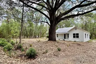 13647 NE 141st Dr, Waldo, FL 32694 - Photo 4