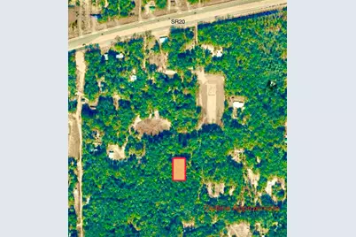 121 Rose Lane, Hawthorne, FL 32640 - Photo 4
