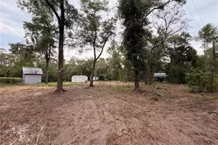 117 Breezy Oak Ln, Fort Mc Coy, FL 32134 - Photo 1