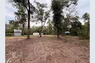 117 Breezy Oak Lane, Fort Mc Coy, FL 32134 - Photo 2
