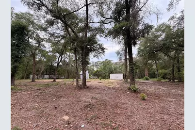 117 Breezy Oak Lane, Fort Mc Coy, FL 32134 - Photo 4