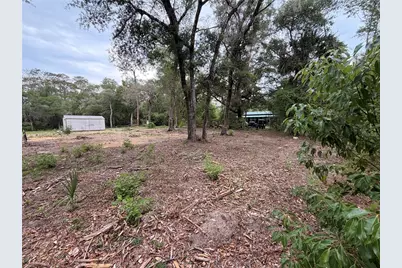 117 Breezy Oak Lane, Fort Mc Coy, FL 32134 - Photo 4