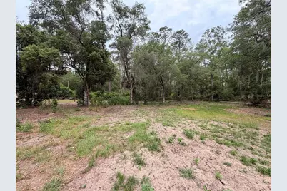 117 Breezy Oak Lane, Fort Mc Coy, FL 32134 - Photo 10