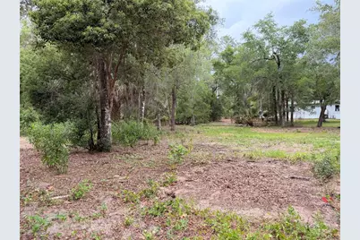 117 Breezy Oak Lane, Fort Mc Coy, FL 32134 - Photo 8