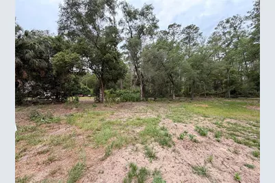 117 Breezy Oak Lane, Fort Mc Coy, FL 32134 - Photo 12