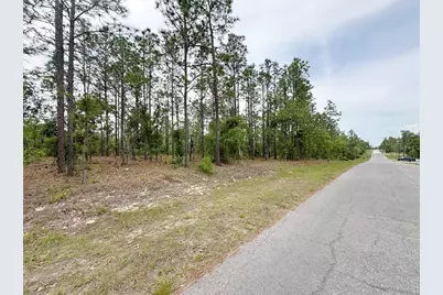Tbd NE 150th , Lot 10 Avenue, Williston, FL 32696 - Photo 2