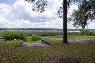 4950 SW 80th St, Chiefland, FL 32626 - Photo 68
