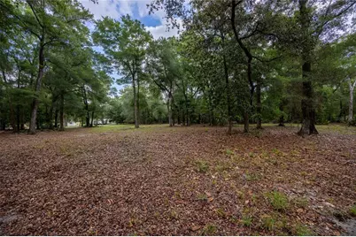 4950 SW 80th Street, Chiefland, FL 32626 - Photo 46