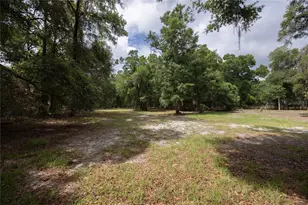 4950 SW 80th St, Chiefland, FL 32626 - Photo 44