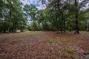 4950 SW 80th St, Chiefland, FL 32626 - Photo 48