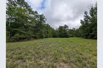 91st Street, Alachua, FL 32615 - Photo 26
