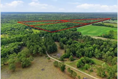 91st Street, Alachua, FL 32615 - Photo 4