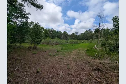 91st Street, Alachua, FL 32615 - Photo 22