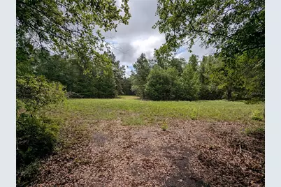 91st Street, Alachua, FL 32615 - Photo 24