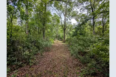 91st Street, Alachua, FL 32615 - Photo 30