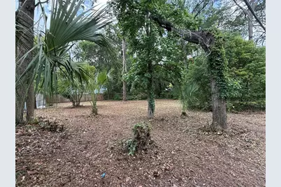 Ne 8th Avenue, Gainesville, FL 32601 - Photo 6