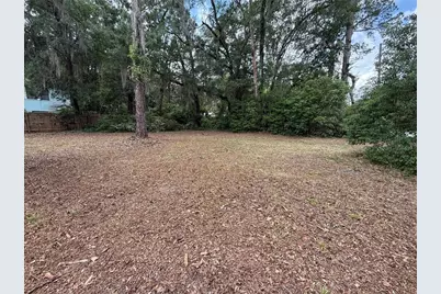 Ne 8th Avenue, Gainesville, FL 32601 - Photo 1