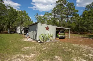 5670 Acadia St, Keystone Heights, FL 32656 - Photo 6