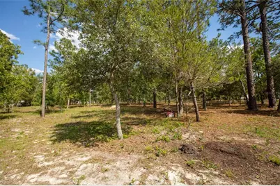 5670 Acadia Street, Keystone Heights, FL 32656 - Photo 12
