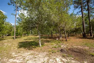 5670 Acadia St, Keystone Heights, FL 32656 - Photo 12