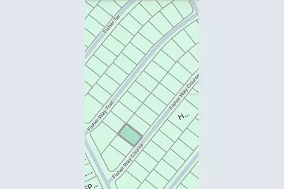 Tbd Fisher Way Crse, Ocklawaha, FL 32179 - Photo 4