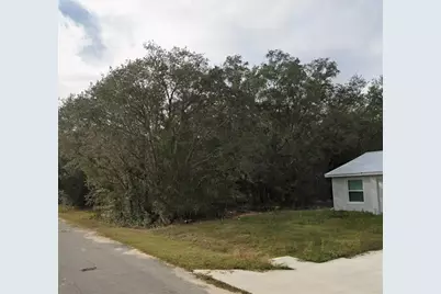 Tbd Fisher Way Crse, Ocklawaha, FL 32179 - Photo 2