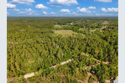 Savanna Lane, Steinhatchee, FL 32359 - Photo 14