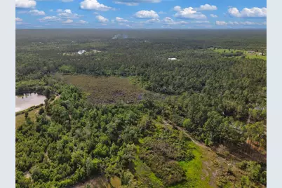 Savanna Lane, Steinhatchee, FL 32359 - Photo 10
