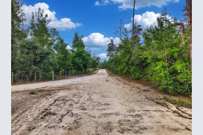 Savanna Lane, Steinhatchee, FL 32359 - Photo 4