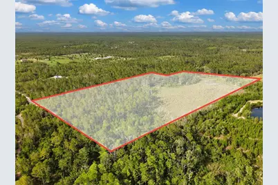 Savanna Lane, Steinhatchee, FL 32359 - Photo 16