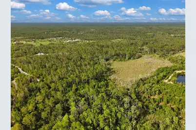 Savanna Lane, Steinhatchee, FL 32359 - Photo 12