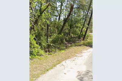 Tbd Fisher Court, Ocklawaha, FL 32179 - Photo 2